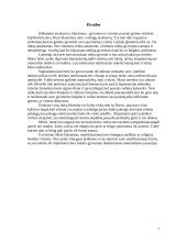 Žmogaus gyvenimo bei mirties prasmė 7 puslapis