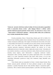 Žmogaus ir pasaulio samprata B. Paskalio "Mintyse" 2 puslapis