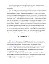 Žmogaus laisvės samprata 4 puslapis