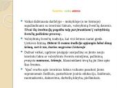 Lietuvos Respublikos valstybinės šventės 13 puslapis