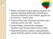 Lietuvos Respublikos valstybinės šventės 9 puslapis