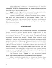 Žmogaus socializavimas. Socialinės pedagogikos reikšmė žmogaus socializacijai 5 puslapis