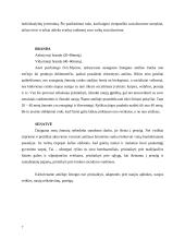 Žmogaus socializavimas. Socialinės pedagogikos reikšmė žmogaus socializacijai 7 puslapis