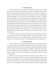 Žmogiškoji būtis — buvimas mirties link 5 puslapis