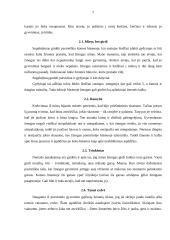 Žmogiškoji būtis — buvimas mirties link 7 puslapis