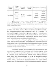Žmogiškųjų išteklių rinkodara 12 puslapis