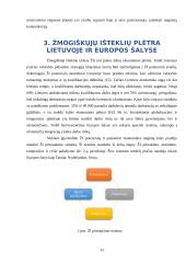 Žmogiškųjų išteklių rinkodara 13 puslapis