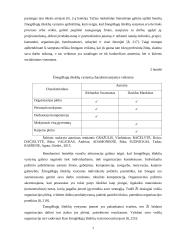 Žmogiškųjų išteklių rinkodara 6 puslapis