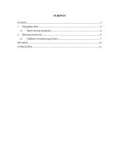 Būties myriop supratimas 2 puslapis