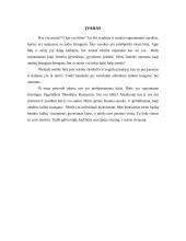 Būties myriop supratimas 3 puslapis