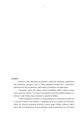 Žmogiškųjų išteklių valdymas individualioje įmonėje 3 puslapis