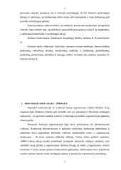 Žmogiškųjų išteklių valdymas individualioje įmonėje 4 puslapis