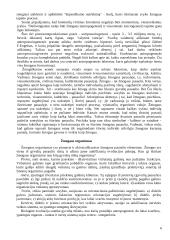 Žmogus ir amžinosios vertybės 6 puslapis