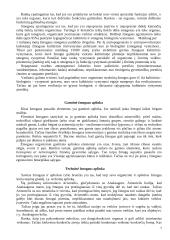 Žmogus ir amžinosios vertybės 7 puslapis