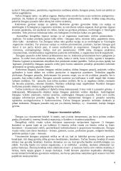 Žmogus ir amžinosios vertybės 8 puslapis