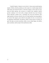 Žmogus, visuomenė ir valstybė 17 puslapis