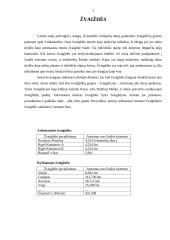 Žvaigždės ir saulės sistema 2 puslapis