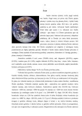 Žvaigždės ir saulės sistema 11 puslapis