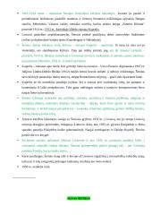 Ignas Šeinius ir „Kuprelio“ analizė 2 puslapis