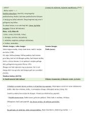 Ignas Šeinius ir „Kuprelio“ analizė 11 puslapis