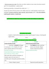 Ignas Šeinius ir „Kuprelio“ analizė 12 puslapis