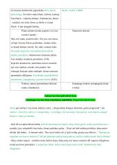 Ignas Šeinius ir „Kuprelio“ analizė 13 puslapis