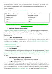 Ignas Šeinius ir „Kuprelio“ analizė 14 puslapis