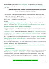 Ignas Šeinius ir „Kuprelio“ analizė 15 puslapis