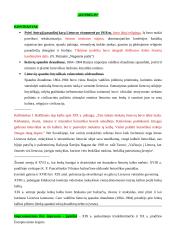 Ignas Šeinius ir „Kuprelio“ analizė 3 puslapis