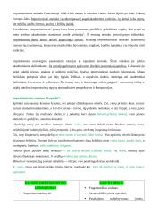 Ignas Šeinius ir „Kuprelio“ analizė 4 puslapis