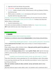 Ignas Šeinius ir „Kuprelio“ analizė 6 puslapis