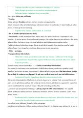 Ignas Šeinius ir „Kuprelio“ analizė 7 puslapis