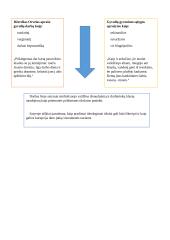 Dž. Orvelas. „Gyvulių ūkis“  analizė 14 puslapis