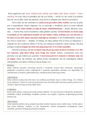 Erichas Marija Remarkas. „Vakarų fronte nieko naujo“ analizė 11 puslapis