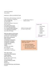 Erichas Marija Remarkas. „Vakarų fronte nieko naujo“ analizė 12 puslapis