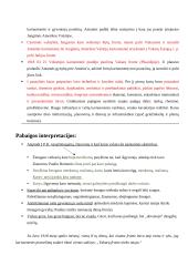 Erichas Marija Remarkas. „Vakarų fronte nieko naujo“ analizė 7 puslapis