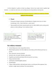 Erichas Marija Remarkas. „Vakarų fronte nieko naujo“ analizė 8 puslapis