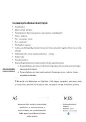 Erichas Marija Remarkas. „Vakarų fronte nieko naujo“ analizė 9 puslapis