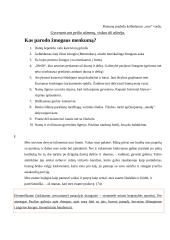 Erichas Marija Remarkas. „Vakarų fronte nieko naujo“ analizė 10 puslapis