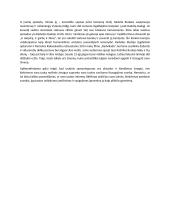 Ar tautinis sąmoningumas aktualus ir šiandienos žmogui? 2 puslapis