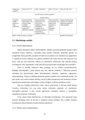 MB „Benuodemės“ verslo planas 11 puslapis