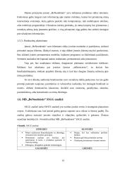 MB „Benuodemės“ verslo planas 12 puslapis