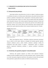 MB „Benuodemės“ verslo planas 20 puslapis