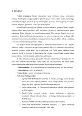 MB „Benuodemės“ verslo planas 4 puslapis