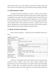 MB „Benuodemės“ verslo planas 7 puslapis