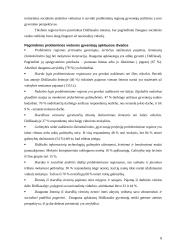 Žvilgsnis į informacinę visuomenę anapus technologijų ir prieigos prie jų. Socialinė atskirtis 8 puslapis