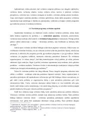 Viešojo sektoriaus programų vertinimo ypatumai 11 puslapis