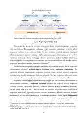 Viešojo sektoriaus programų vertinimo ypatumai 13 puslapis