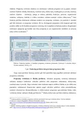 Viešojo sektoriaus programų vertinimo ypatumai 19 puslapis
