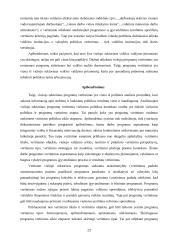 Viešojo sektoriaus programų vertinimo ypatumai 20 puslapis